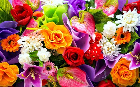 Colorful Flower Backgrounds 58 Images