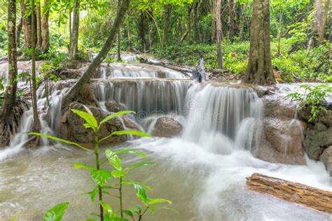 Waterfall And Forest At Kanjanaburi Thailand Aug 2016 Stock Image