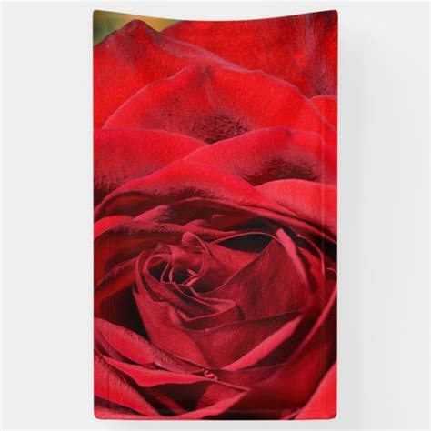 Red Rose Banner Red Roses Rose Banner Outdoor Banners