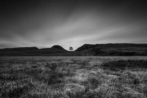 Beautiful North East Landscapes Showcased By Simon Saunders Chronicle