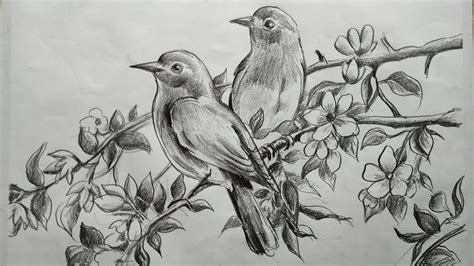 How To Draw Birds And Flowers With Pncil Sketch For Beginners Step By