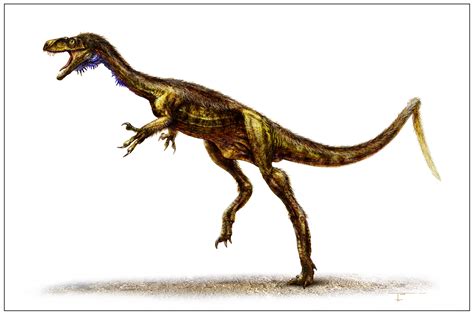 Eodromaeus Adds Context To Dinosaur Origins Science Smithsonian