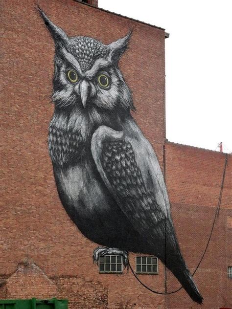 Owl Graffiti Street Art Murals Street Art Amazing Street Art