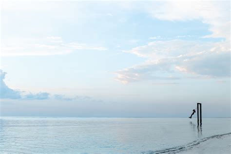 Free Images Beach Sea Coast Ocean Horizon Person Cloud Sky