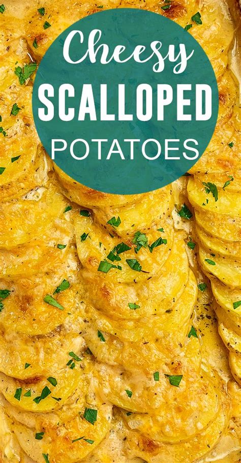 Scalloped Potatoes So Creamy Modernmealmakeover Com Recipe