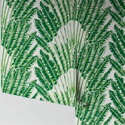 Feather Palm Wallpaper Evershine Walls