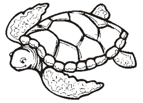 May 23 is celebrated since 2000 as the world turtle day. TURTLE PICTURES, PICS, IMAGES AND PHOTOS FOR YOUR TATTOO ...