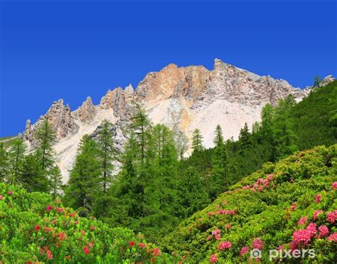 Sticker Dolomite Peaks Rosengartenval Di Fassa Italy Alps Pixers