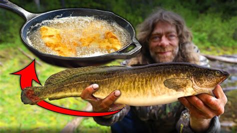 Catching Bizarre Fish Catch Clean And Cook Youtube