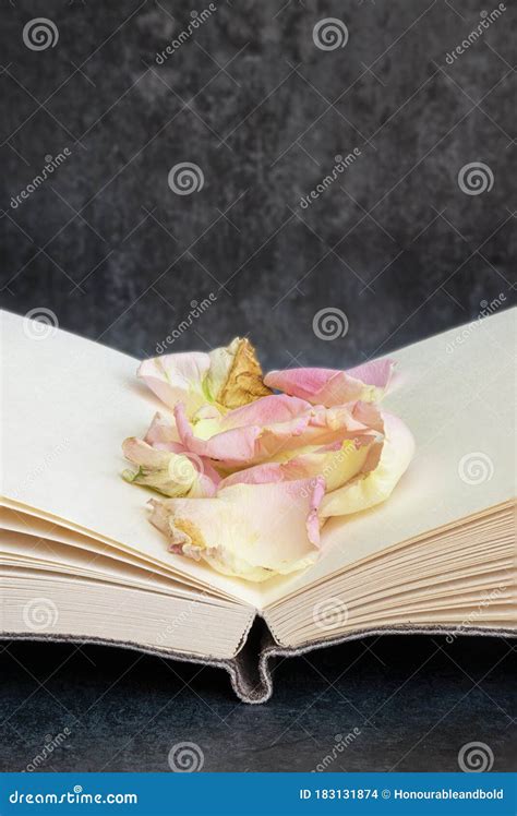 Romantic Old Retro Vintage Open Book With Blank Pages With Copy Space