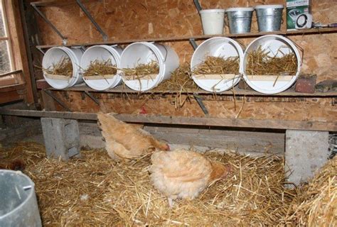 6 Creative Chicken Nesting Box Ideas The Owner Builder Network In