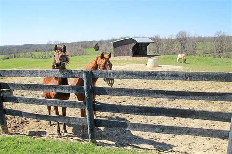 Beautiful Kentucky Horse Farm Convenient To Louisville