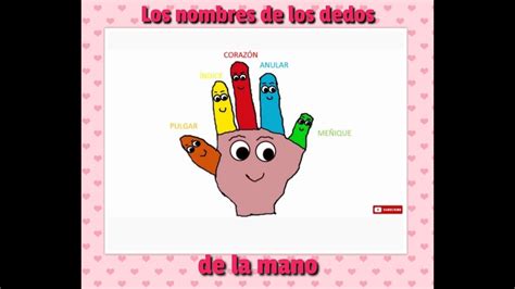 Nombre De Los Dedos De La Mano Explicación Para Niños Canción Dedo