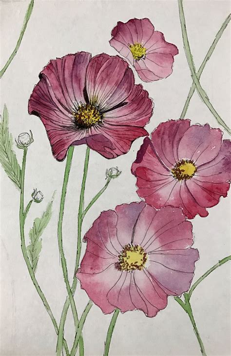 Beautiful Poppy Watercolor Flowers Paintings Watercolor Flower