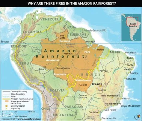 40 Of The Amazon Rainforest Is At Tipping Point To Becoming Savanna