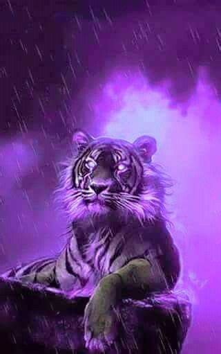 Tiger Purple Neon Lion Wallpaper Animal Wallpaper Tiger Artwork Cool