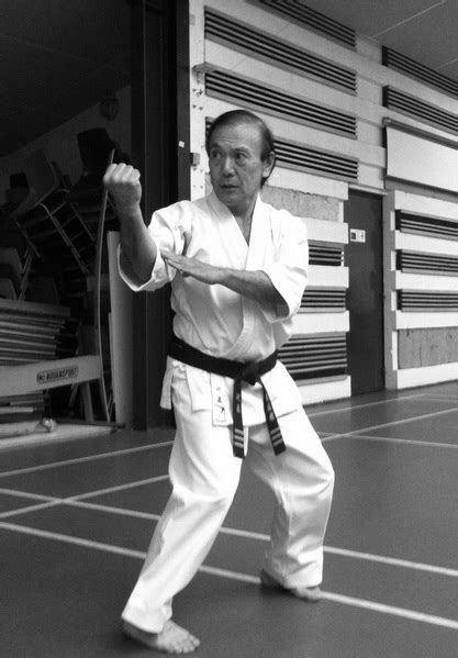 Master Oscar Higa Karate Do Kyudokan Seminar Saint Sauveur France 14 October 2011