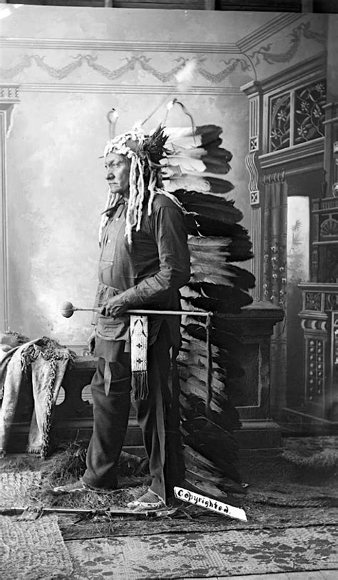 Sitting Bull Native American Beauty Native American Photos Native