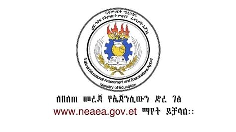 Neaea The 2019 Grade 12 Exam Results Released