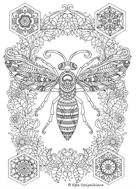 Amazing Detailed Bee Complex Adult Coloring Page Free Printable