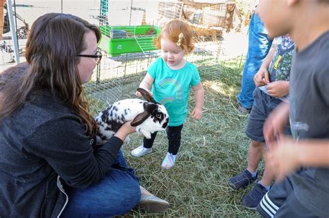 Orange County Jamboree remembers the area’s farming heritage – Orange