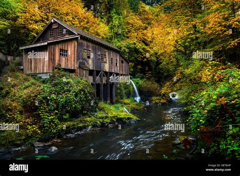 Cedar Creek Grist Mill With Fall Color Located In Woodlands