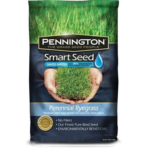 Pennington Smart Seed Perennial Ryegrass Blend 7lb 100086854