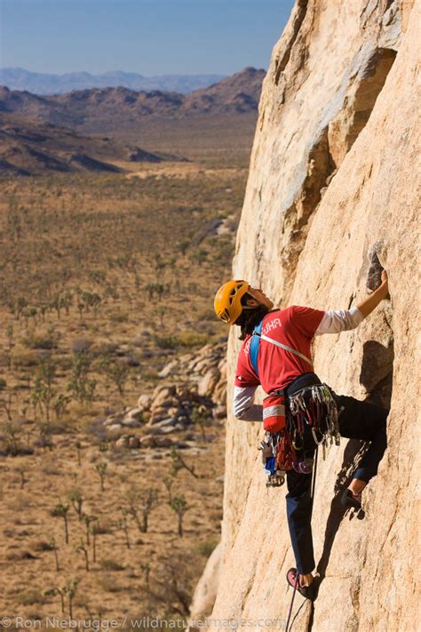 Rock Climbing Joshua Tree National Park Ron Niebrugge Photography