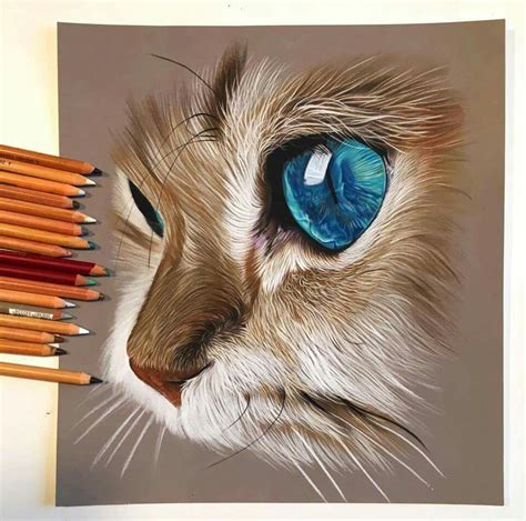 Genial Cats Art Drawing Realistic Drawings Animal Drawings