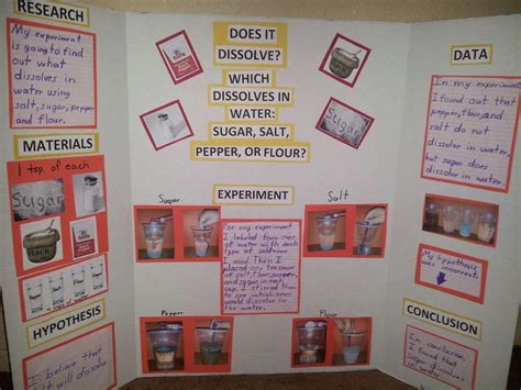 What Dissolves In Water Science Fair Projects