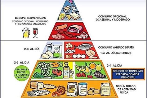 La Pirámide Nutricional Incluye Suplementos Y Alcohol