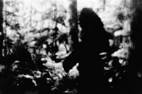 Ohio Woman Swears She Recorded Bigfoot Though Experts Are Skeptical