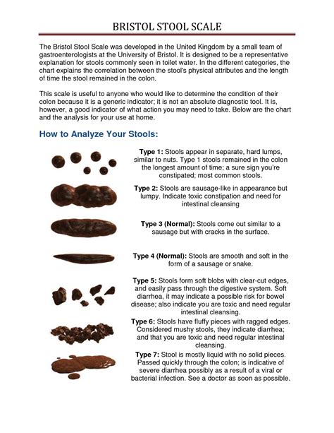 The Bristol Stool Scale What Your Stool Indicates About Your State Of