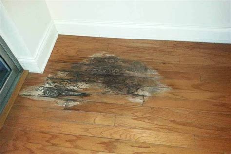 Wood and Bamboo Flooring Problems