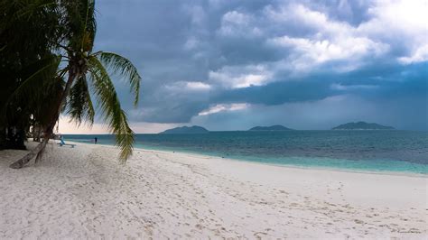 How to say peach trees in malay. The 11 Best Beaches in Malaysia - Art of Scuba Diving