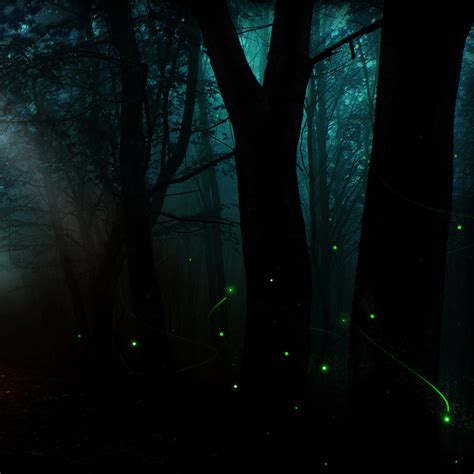 Forest Fireflies Brett Jordan Flickr