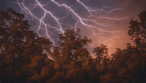 What Does Lightning Actually Do To A Tree