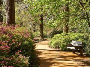 Parks And Open Spaces In Richmond Upon Thames Graftingardeners