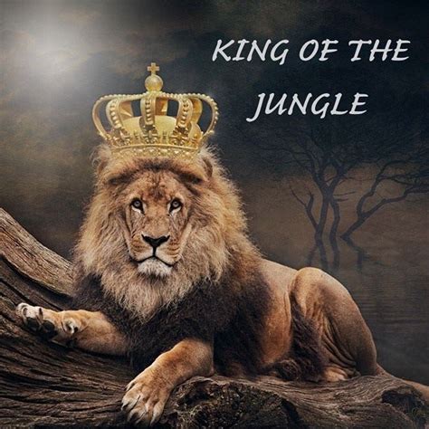 King Of The Jungle Lion Images Grayscale Art Lion Wallpaper