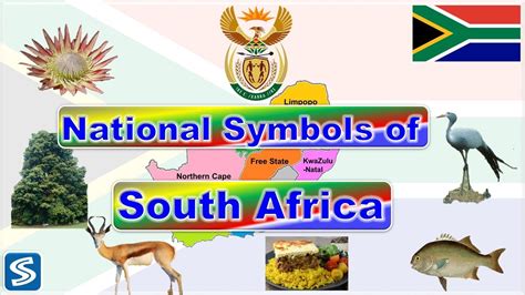 National Symbols Of South Africa South Africa And Its National