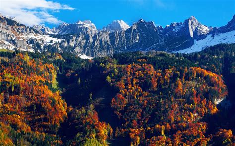 Autumn Trees Wallpaper 4k Snow Mountains Blue Sky Glacier Landscape
