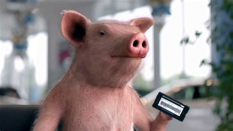 You can say a wide range of things, for example requesting insurance id card, etc. GEICO Commercial - Trade In Maxwell Pig - YouTube