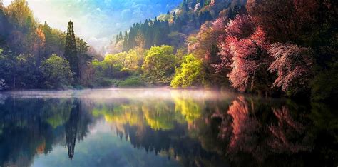 Wallpaper Green Leafed Trees Nature Spring Mist Lake Reflection