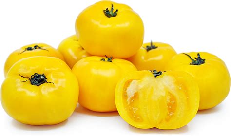 Yellow Tomatoes Information Recipes And Facts