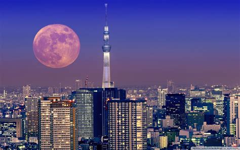+ free wallpaper in hd quality + hundreds aesthetic collage wallpapers + contain. Moon Over Tokyo, Japan Ultra HD Desktop Background ...