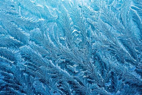 The Ice Cold Frost Forms Ice Crystals In Beautiful Unique Patterns