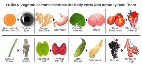 Foods That Look Like Body Parts Know Which Vegetables Fruits Look