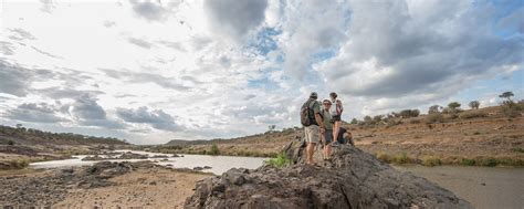 Did You Know Only Six Percent Of The Kruger National Park Is Accessible