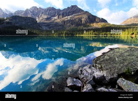 Lake Ohara Yoho National Park British Columbia Canada Stock Photo