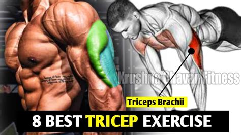 Workout For Triceps Brachii Muscle